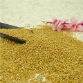 White Broom Core Millet